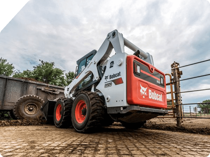 brands bobcat cut