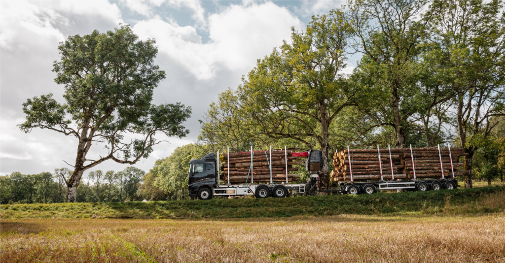Volvo FH16 with forest